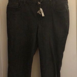 Dark grey Ashley Stewart jeans.